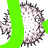 CELLS IN